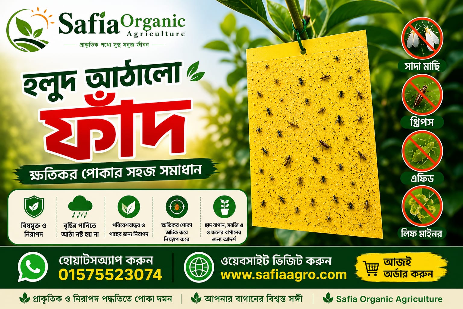 Yellow Sticky Trap (12 x 8) Inches 20 pcs